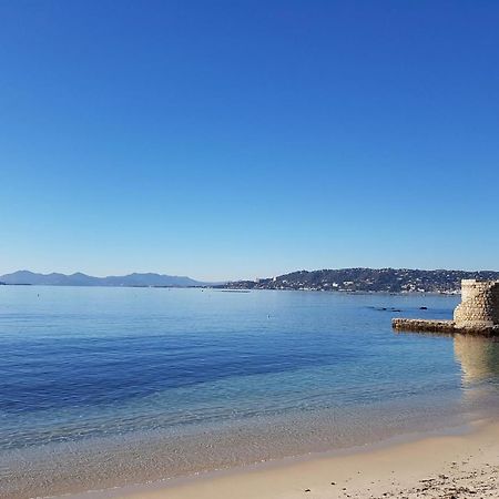 Appartement 2 Pieces, Renove, 2 Piscines+Tennis, Mer, Climatisation Antibes Kültér fotó